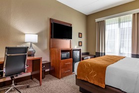 Comfort Suites South