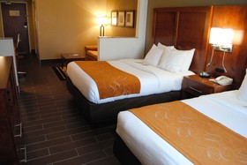 Comfort Suites South