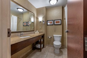 Comfort Suites South