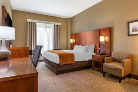 Comfort Suites South