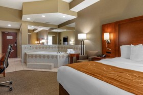 Comfort Suites South
