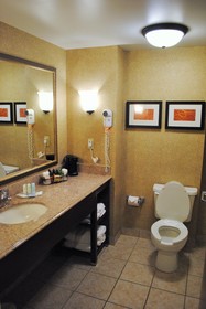 Comfort Suites South