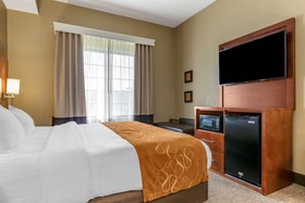 Comfort Suites South