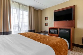 Comfort Suites South