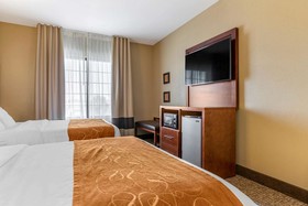 Comfort Suites South