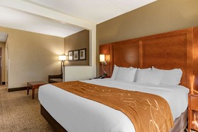 Comfort Suites South