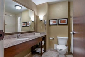 Comfort Suites South