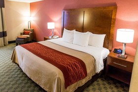 Comfort Inn & Suites