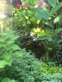 Kara's Kottages @Lakeway