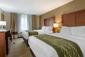 Comfort Inn & Suites Dimondale - Lansing