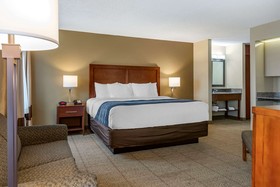 Comfort Inn & Suites Dimondale - Lansing