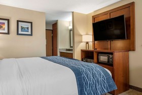 Comfort Inn & Suites Dimondale - Lansing