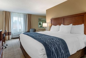 Comfort Inn & Suites Dimondale - Lansing