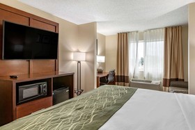Comfort Inn & Suites Dimondale - Lansing