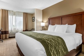 Comfort Inn & Suites Dimondale - Lansing