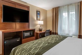 Comfort Inn & Suites Dimondale - Lansing