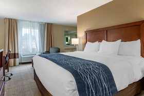 Comfort Inn & Suites Dimondale - Lansing