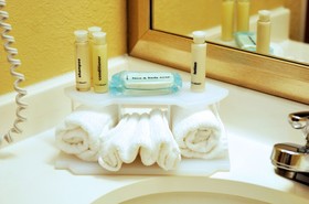 Holiday Inn Express Lapeer