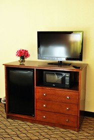 Holiday Inn Express Lapeer