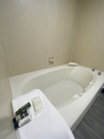 The Leo Collection Detroit, Ascend Hotel Collection