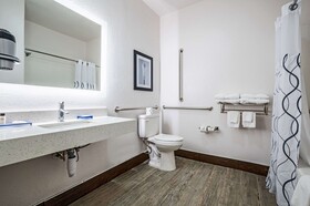The Leo Collection Detroit, Ascend Hotel Collection