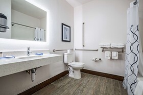 The Leo Collection Detroit, Ascend Hotel Collection