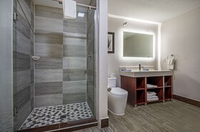 The Leo Collection Detroit, Ascend Hotel Collection