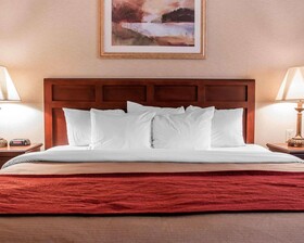 Comfort Inn Livonia