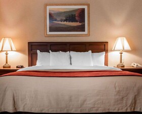Comfort Inn Livonia