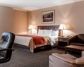 Comfort Inn Livonia