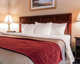 Comfort Inn Livonia