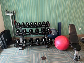 Holiday Inn Express and Suites Detroit Northwest - Livonia