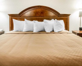 Quality Inn & Suites Beachfront