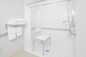 Microtel Inn & Suites by Wyndham Manistee