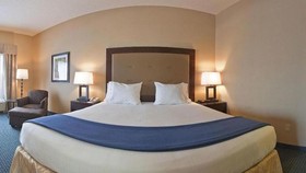 Holiday Inn Express & Suites Detroit-Novi