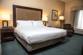 Holiday Inn Express & Suites Detroit-Novi