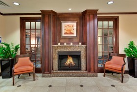 Holiday Inn Express & Suites Detroit-Novi