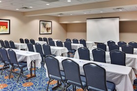 Holiday Inn Express & Suites Detroit-Novi