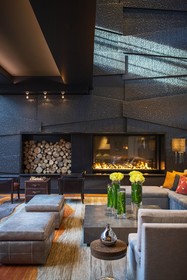 The Baronette Renaissance Detroit-Novi Hotel