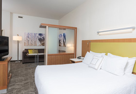 SpringHill Suites Detroit Auburn Hills