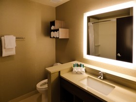 Holiday Inn Express & Suites Plymouth Ann Arbor Area