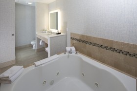 Holiday Inn Express & Suites Rochester Hills - Detroit Area