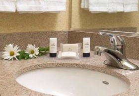 Fairfield Inn and Suites by Marriott Detroit Metropolitan Airport