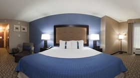 Holiday Inn Hotel & Suites Detroit Metro Airport