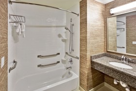 Holiday Inn Hotel & Suites Detroit Metro Airport