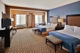 Holiday Inn Hotel & Suites Detroit Metro Airport