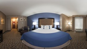 Holiday Inn Hotel & Suites Detroit Metro Airport