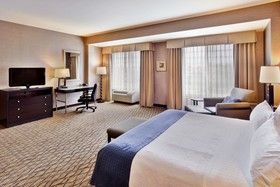 Holiday Inn Hotel & Suites Detroit Metro Airport