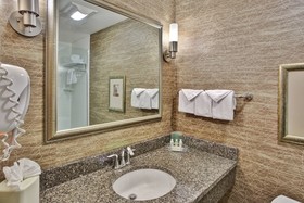 Holiday Inn Hotel & Suites Detroit Metro Airport