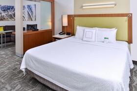 SpringHill Suites Detroit Metro Airport Romulus